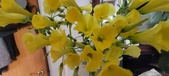 Enlarge photo 559