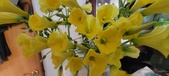 Enlarge photo 560
