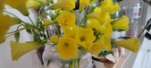 Enlarge photo 561