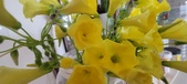 Enlarge photo 563