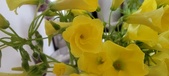 Enlarge photo 564