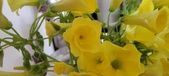 Enlarge photo 565
