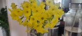 Enlarge photo 601
