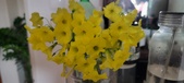 Enlarge photo 602