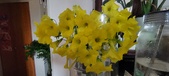 Enlarge photo 603