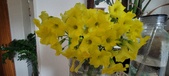 Enlarge photo 604