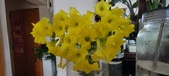 Enlarge photo 605