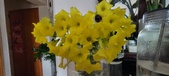 Enlarge photo 606