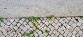 Enlarge photo 615
