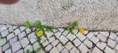 Enlarge photo 618