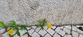 Enlarge photo 620