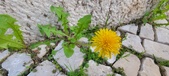 Enlarge photo 625