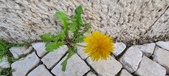 Enlarge photo 632