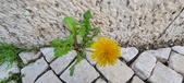 Enlarge photo 633