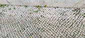 Enlarge photo 636