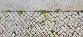 Enlarge photo 638