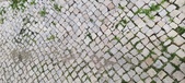 Enlarge photo 640