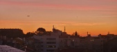 Enlarge photo 354