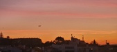 Enlarge photo 353