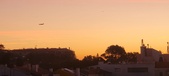 Enlarge photo 352