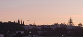 Enlarge photo 343