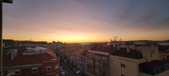 Enlarge photo 342