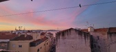 Enlarge photo 319