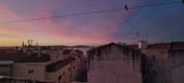 Enlarge photo 318