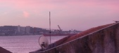 Enlarge photo 316