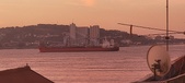 Enlarge photo 312
