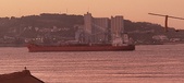 Enlarge photo 310