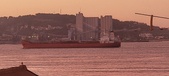 Enlarge photo 309