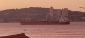 Enlarge photo 308