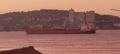 Enlarge photo 307