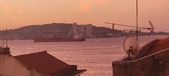 Enlarge photo 305