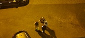Enlarge photo 283