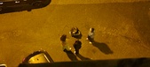 Enlarge photo 281