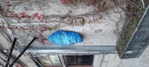 Enlarge photo 252