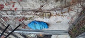 Enlarge photo 249