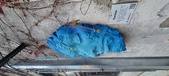 Enlarge photo 242