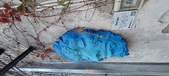 Enlarge photo 241