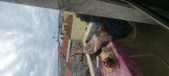 Enlarge photo 233