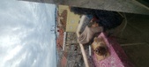 Enlarge photo 231