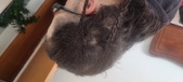 Enlarge photo 229