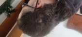 Enlarge photo 228