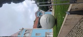 Enlarge photo 220