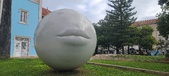 Enlarge photo 218