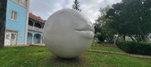 Enlarge photo 216