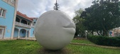 Enlarge photo 214