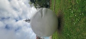 Enlarge photo 213